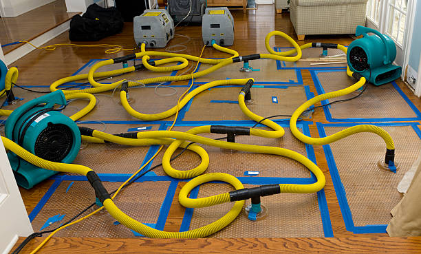 Professional Basement Flood Cleanup technician working in Mountain Home, NC